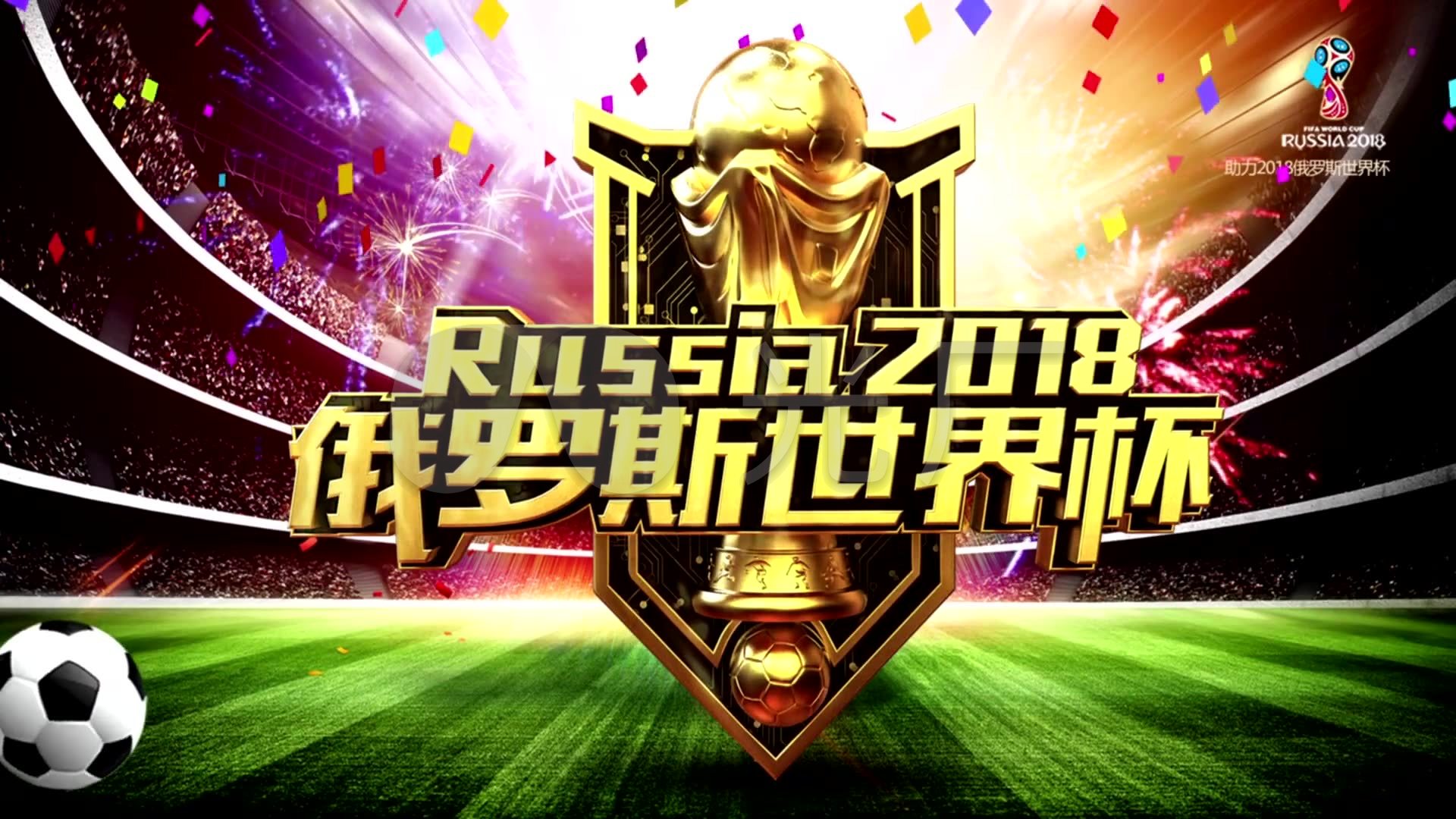 的决定不仅